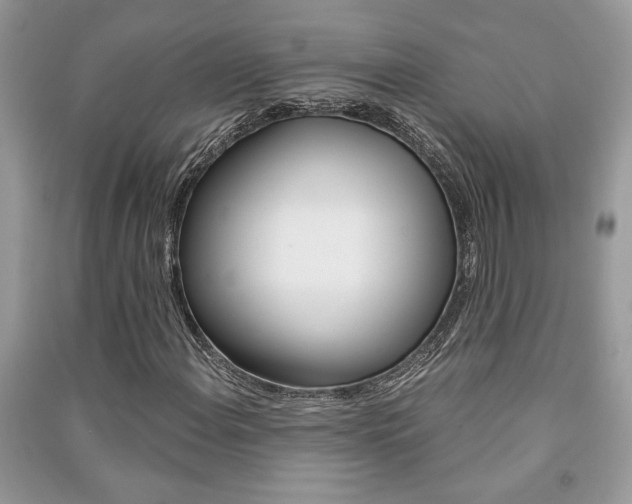 X0000091181108200708091040