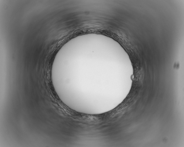 X0000091181109200708091040