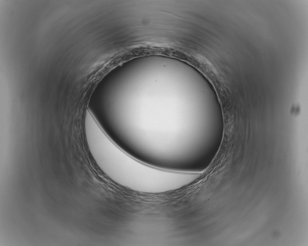 X0000091181110200708091040