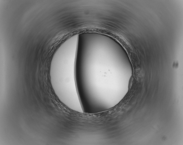 X0000091181111200708091040