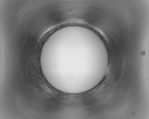 X0000091181112200708091040