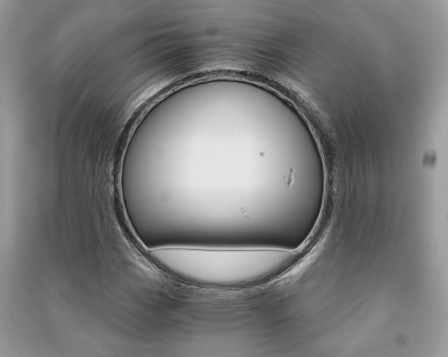 X0000091181113200708091040