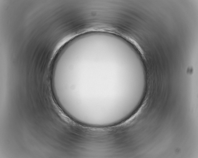 X0000091181114200708091040