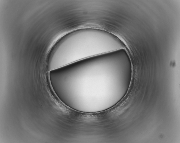 X0000091181115200708091040