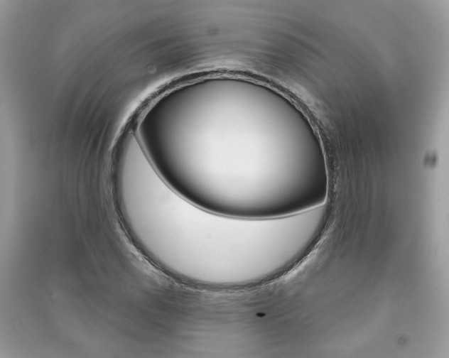 X0000091181118200708091040