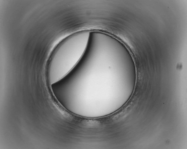 X0000091181119200708091040