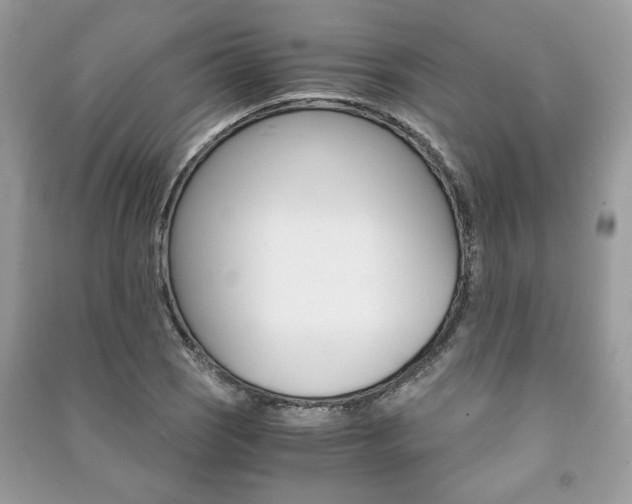 X0000091181121200708091040