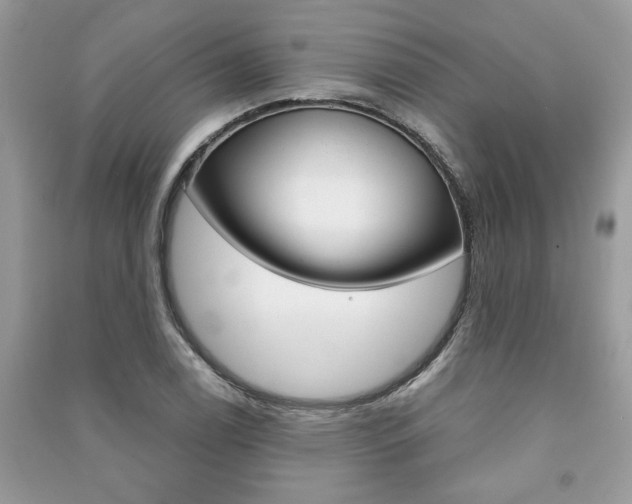 X0000091181122200708091040