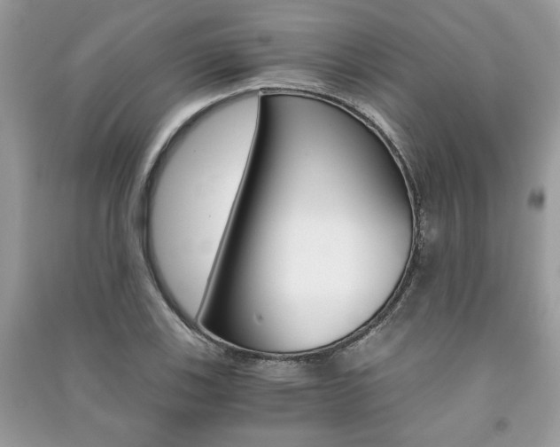 X0000091181123200708091040