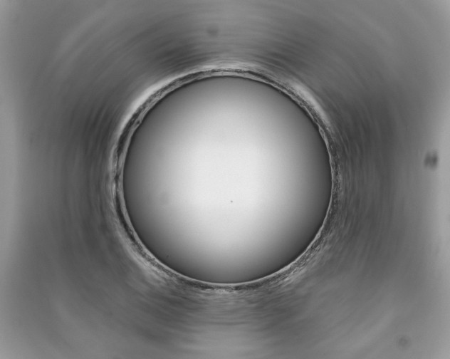 X0000091181124200708091040