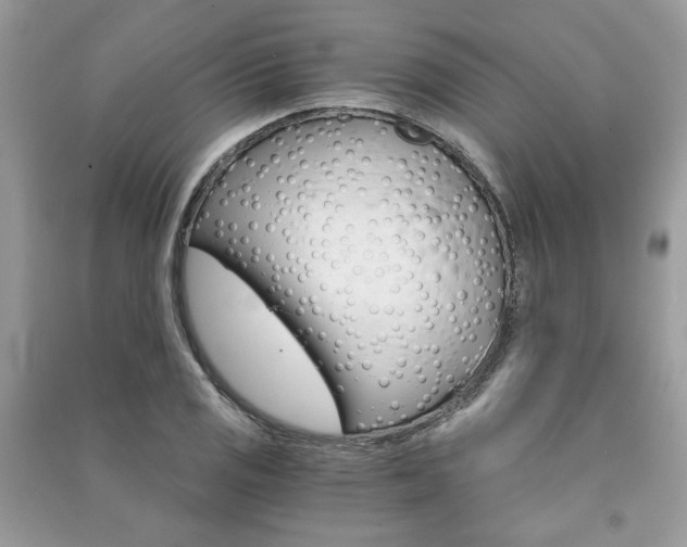 X0000091181125200708091040
