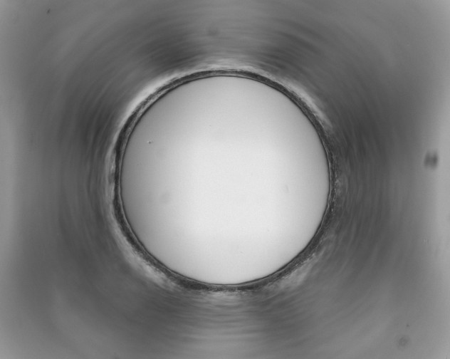 X0000091181126200708091040