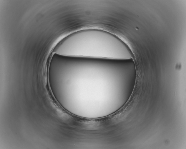 X0000091181127200708091040