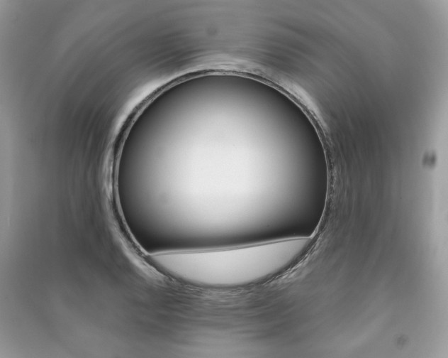 X0000091181128200708091040