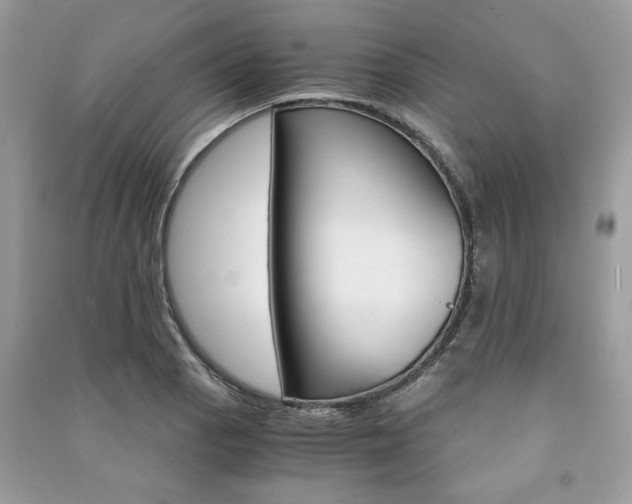 X0000091181129200708091040