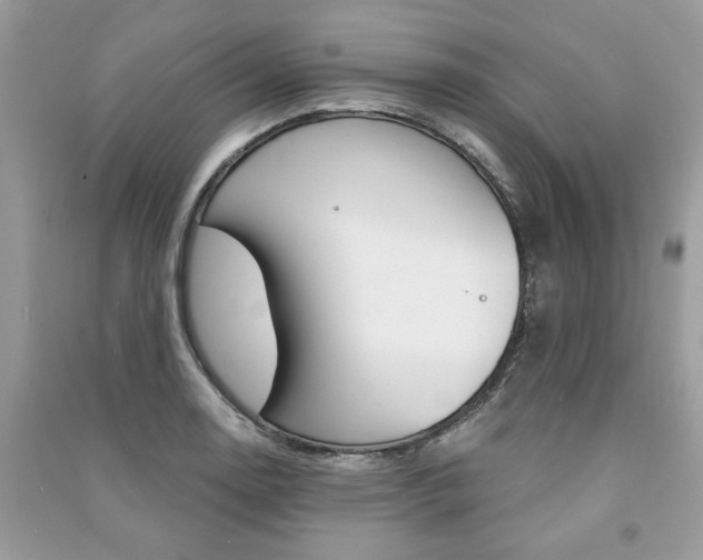 X0000091181130200708091040