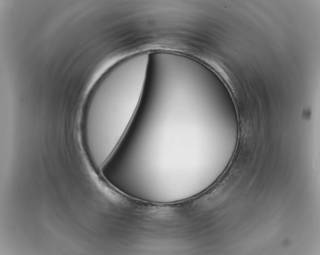 X0000091181131200708091040