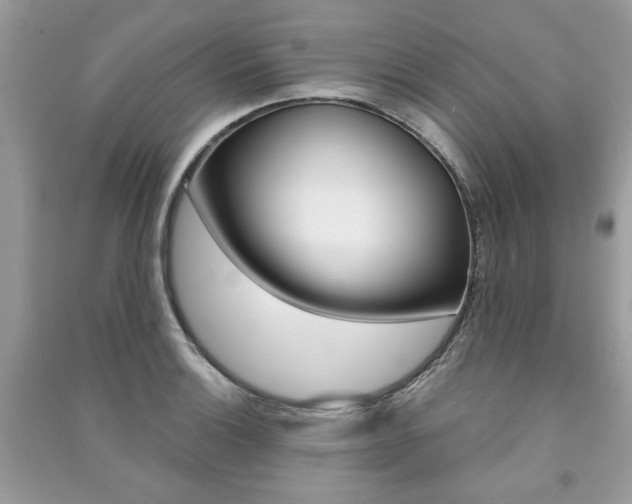 X0000091181132200708091040
