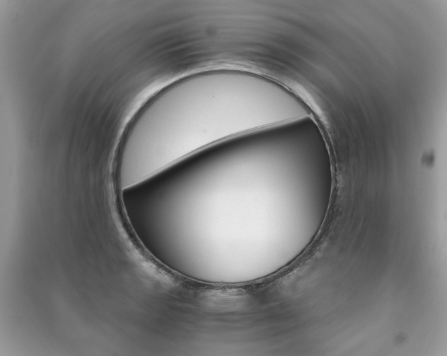 X0000091181133200708091040
