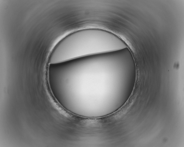 X0000091181134200708091040