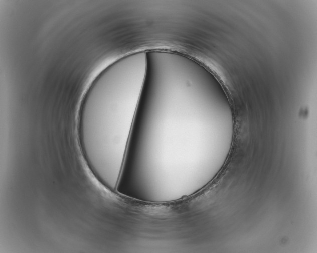 X0000091181135200708091041