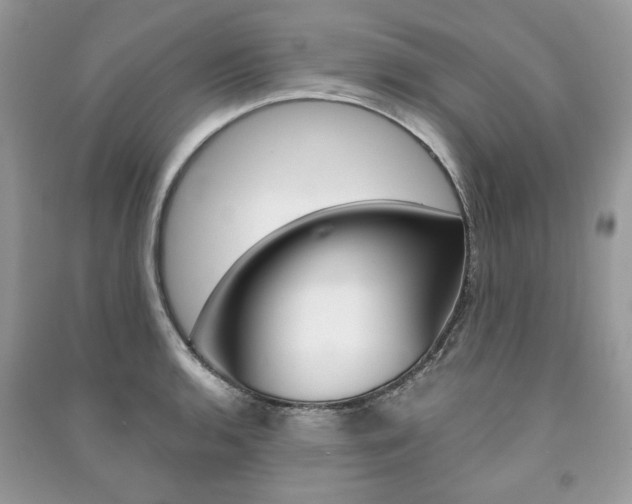 X0000091181136200708091041