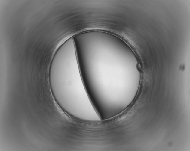 X0000091181137200708091041