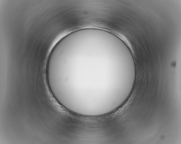 X0000091181138200708091041