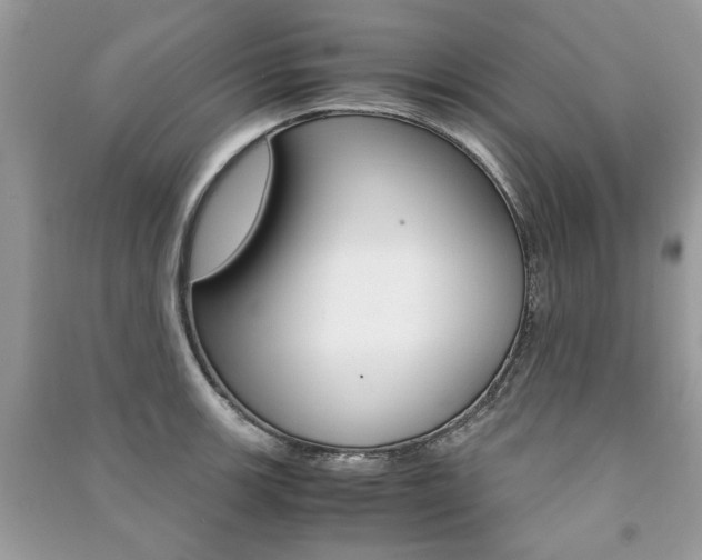 X0000091181139200708091041