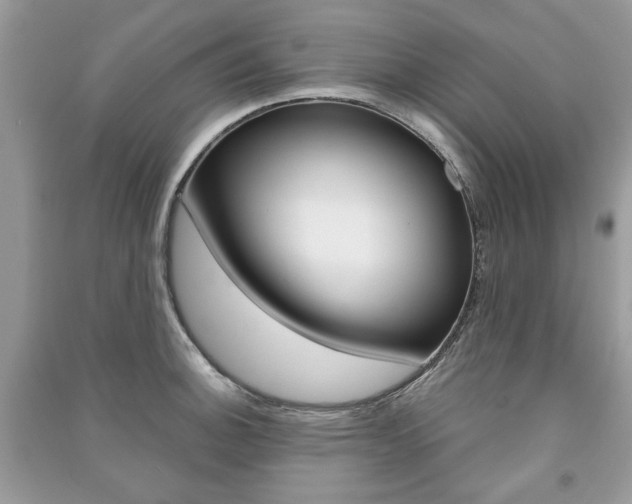X0000091181140200708091041