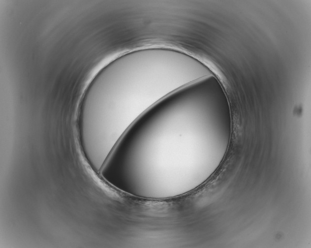 X0000091181142200708091041
