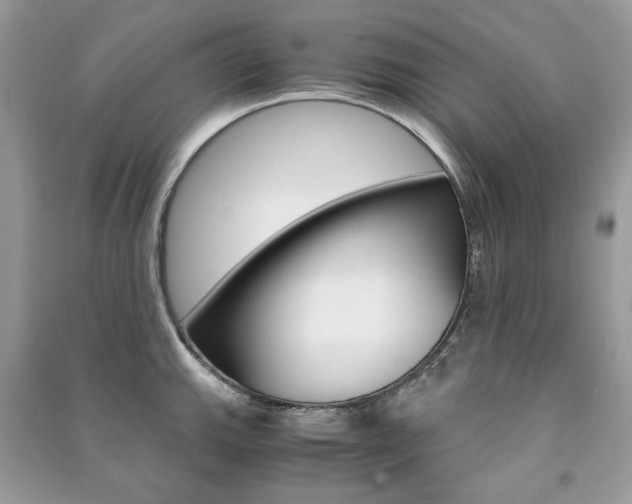 X0000091181143200708091041