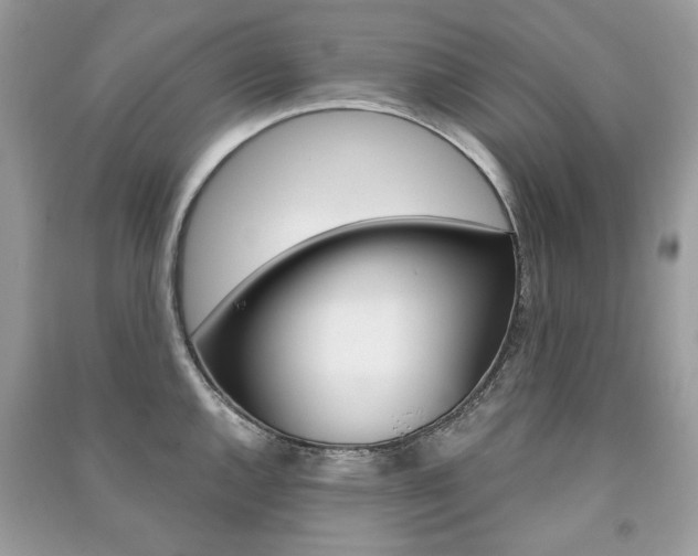 X0000091181144200708091041