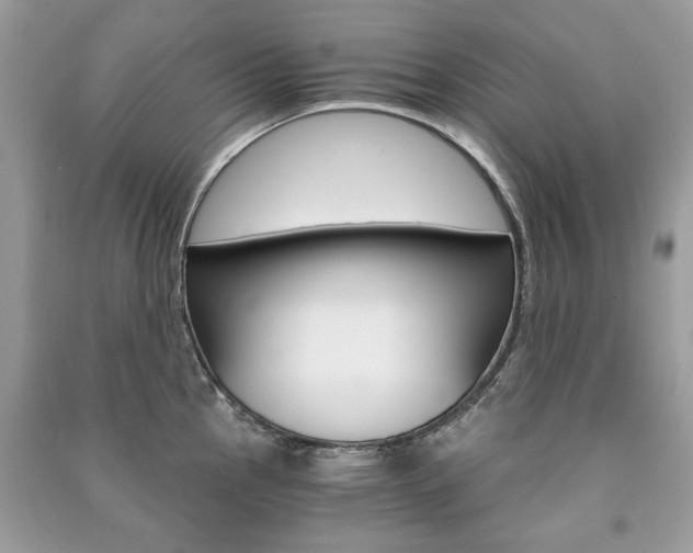 X0000091181145200708091041