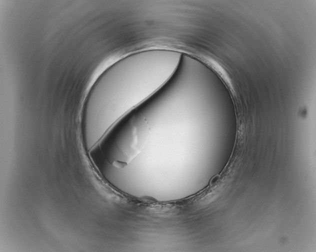 X0000091181146200708091041