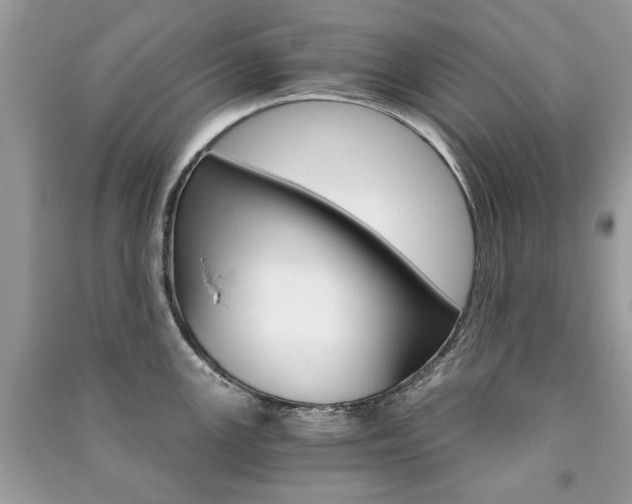 X0000091181147200708091041