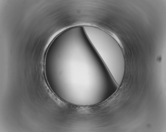 X0000091181148200708091041