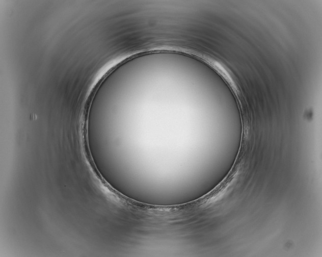 X0000091181149200708091041