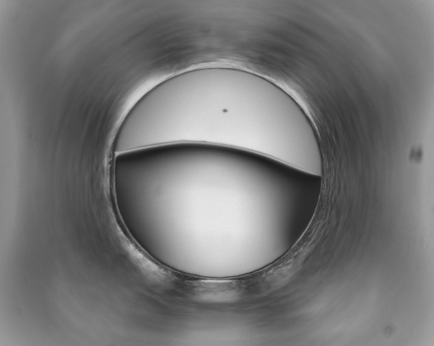 X0000091181151200708091041
