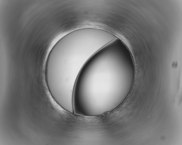 X0000091181152200708091041