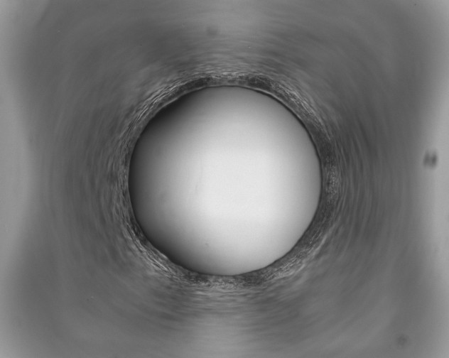 X0000091181153200708091040