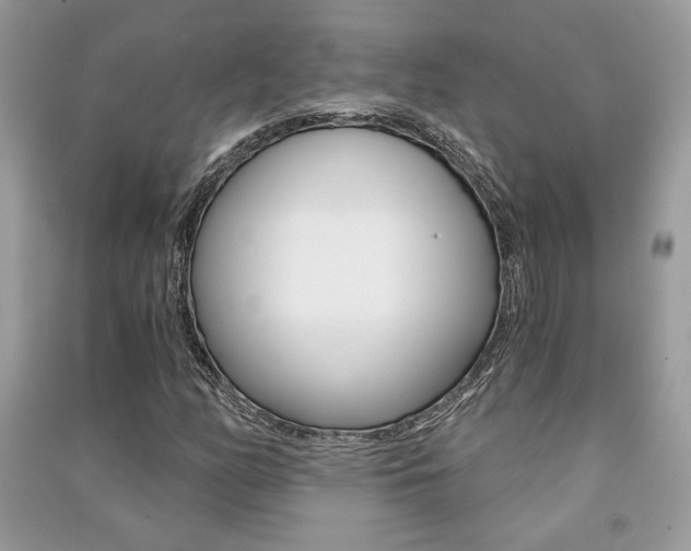 X0000091181158200708091040