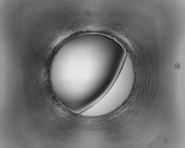 X0000091181160200708091040
