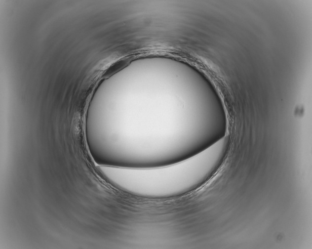 X0000091181161200708091040