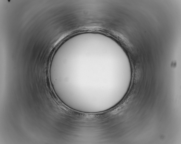 X0000091181162200708091040