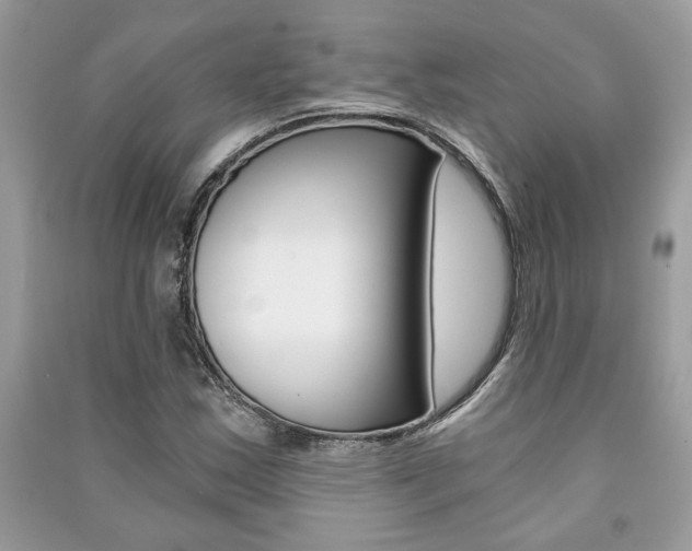 X0000091181163200708091040