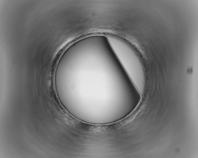 X0000091181165200708091040