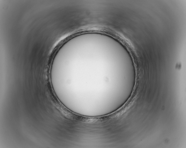 X0000091181166200708091040