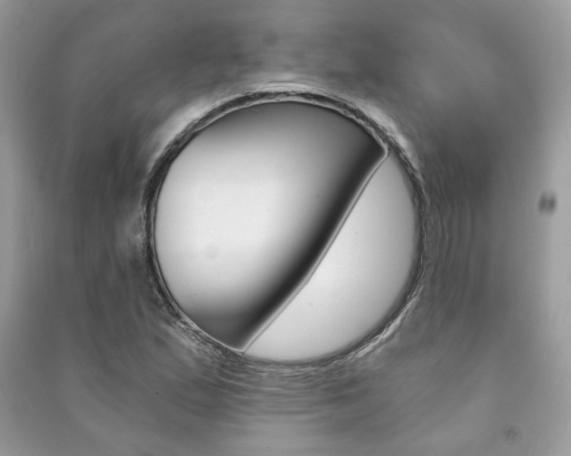 X0000091181167200708091040