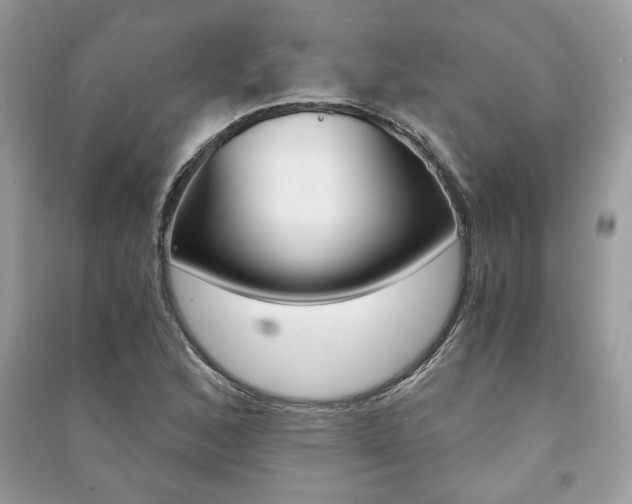 X0000091181168200708091040